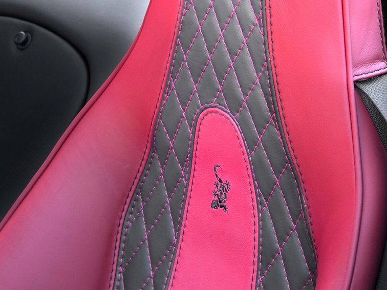 威兹曼Roadster 2012款 MF4车厢座椅图片