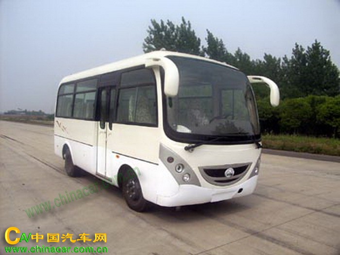 凌宇牌CLY6607D型轻型客车图片1