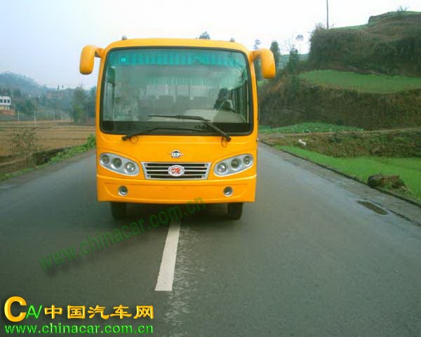 达宇牌DYQ6600A型客车图片2