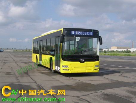 黄海牌dd6129s16型城市客车图片