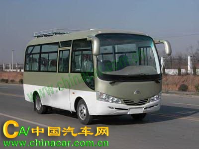 凌宇牌CLY6600DE1型轻型客车图片2