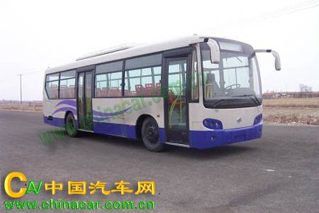 黄海牌DD6105S10型城市客车图片1