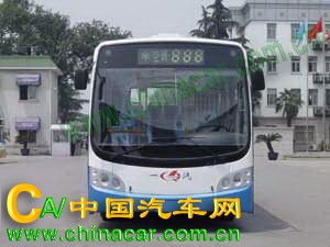长江牌CJ6103G8CH型客车图片2