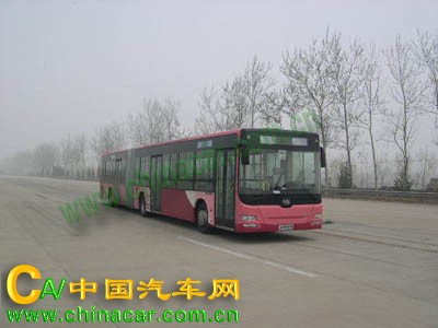 黄海牌DD6181S02型城市客车图片1