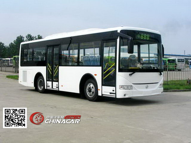 亚星牌JS6906GHB型城市客车图片1