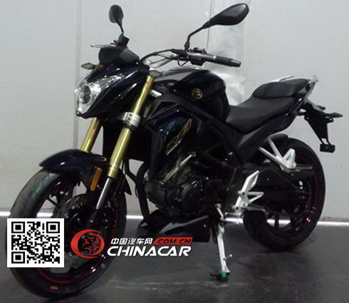 宗申(zongshen)牌zs250gs-2a型两轮摩托车图片
