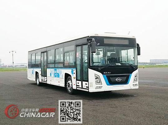 长江牌FDE6120PDABEV06型纯电动城市客车图片1