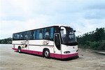 11.5米|24-49座金龙旅游客车(XMQ6115J1S)