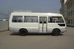 悦西牌ZJC6601EQ2型轻型客车图片3