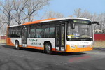 欧曼牌BJ6112C7MLB型城市客车图片