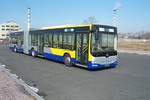 黄海牌DD6181S05型城市客车图片