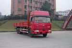 红岩牌CQ1183TMG564型载货汽车图片