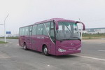 11.5米|24-49座金龙旅游客车(XMQ6118F1S)