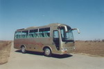 德金马牌STL6800R型客车图片