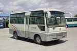 吉江牌(原浙江牌)NE6602D3轻型客车图片4