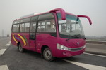 骊山牌LS6660E型客车图片3