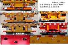 显鹏牌LTH9405TJZE型集装箱运输半挂车图片