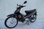 千里马QLM110-B型两轮摩托车(QLM110-B)