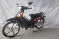 广本GB110-B型两轮摩托车(GB110-B)