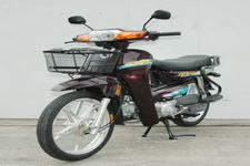 力之星(ZIPSTAR)LZX110-S型两轮摩托车(LZX110-S)