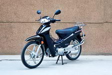 大龙DL110-22型两轮摩托车(DL110-22)