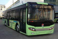 五洲龙牌FDG6125EVG型纯电动城市客车图片