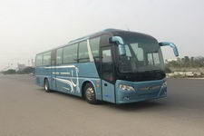 桂林大宇牌GDW6117HKD4型客车图片