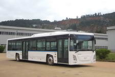长江牌FDE6120PDABEV02型纯电动城市客车图片1