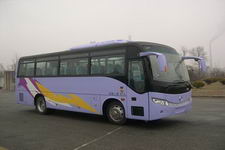 黄海牌DD6857C08型客车图片2