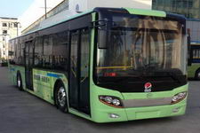 五洲龙牌FDG6121EVG1型纯电动城市客车图片