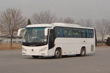 福田牌BJ6902U7AHB型客车图片3