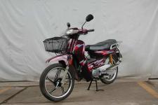 爱立新ALX110-2型两轮摩托车(ALX110-2)